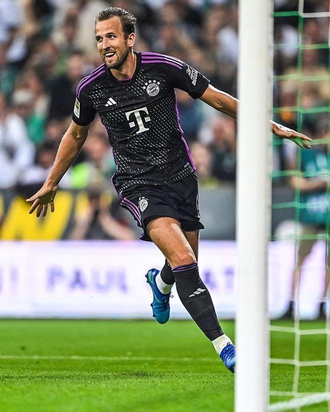 仅滤清了外 仅滤清了外